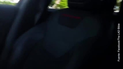 ¡Estos Bulldog franceses están fuera de sí!