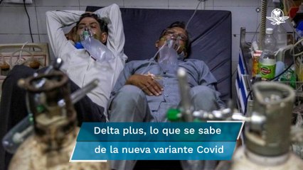 Delta plus: lo que se sabe de la nueva variante de Covid-19 detectada ya en 10 países