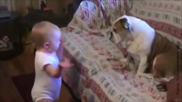 ¡Este bebé tiene ganas de guerra con su perro!