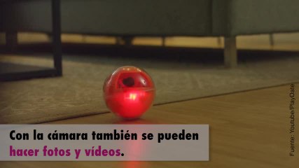 PlayDate, la nueva aplicación para jugar con tu mascota