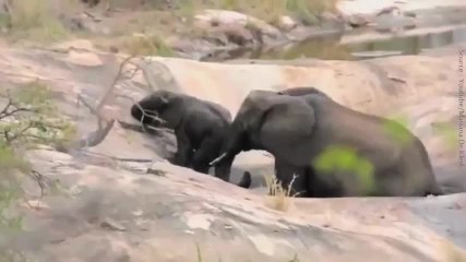 ¡Una madre es una madre!