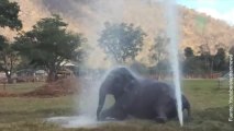 Así se divierte este elefantito cuando encuentra un chorro de agua