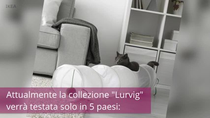 Guarda la collezione IKEA per animali che non vedi già l'ora di avere in casa