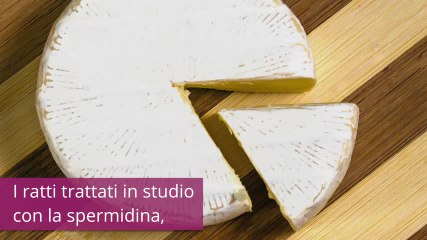 Attenzione: il formaggio potrebbe allungarvi la vita