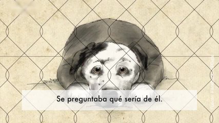 Vídeo de una bonita historia entre un hombre y su perro