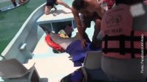 Il delfino salta sulla barca e i turisti reagiscono così...