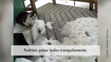 ¡Increíble! Mira lo que se encuentra esta mujer a la puerta de su casa