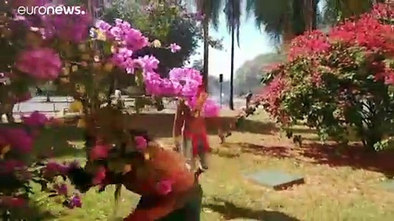 Indigene Proteste gegen umstrittenes Land-Gesetz in Brasilien