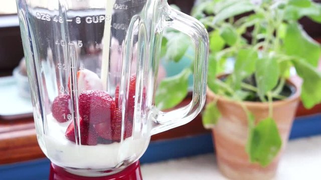 Freschi ma con gusto: prova la ricetta dei sorbetti alla fragola