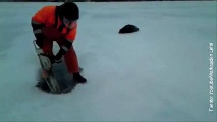 Vídeo de un hombre intentando salvarle la vida a una foca