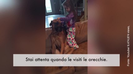 La pazienza di questo cane è incredibile!