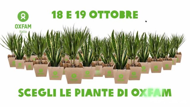 Una pianta contro la fame: Oxfam scende in piazza contro la fame nel mondo