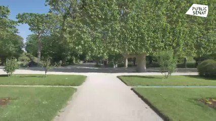 Birds of change - Pourvu que ça dure + (23/06/2021)