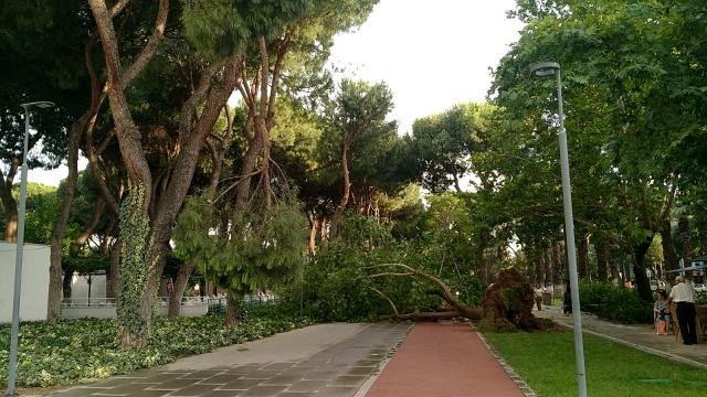 Ödemiş ve Kiraz'da fırtına etkili oldu: Çatılar uçtu, ağaçlar devrildi