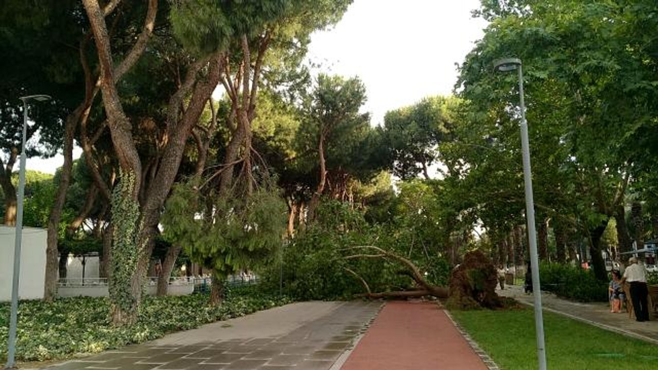 Ödemiş ve Kiraz'da fırtına etkili oldu: Çatılar uçtu, ağaçlar devrildi