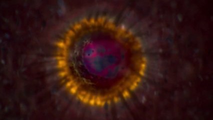 مجهر جديد يختلف عن سابقيه.. تعرف على قدراته