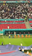 Nathan Roig, 10 ans, a déposé le ballon sur le terrain du match Portugal-France.