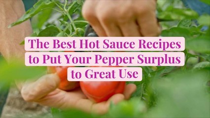 The Best Hot Sauce Recipes to Put Your Pepper Surplus to Great Use