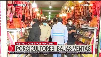 Porcicultores reportan bajas ventas y esperan reponerse en dos años