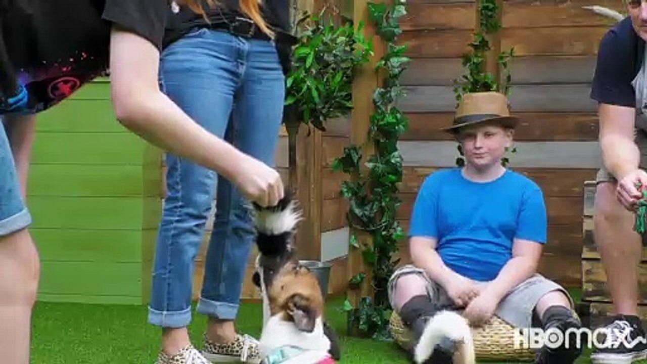 The Dog House UK Season 2 - video Dailymotion