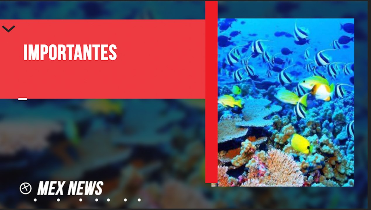 SEMARNAT DESTACA IMPORTANCIA DE ARRECIFES