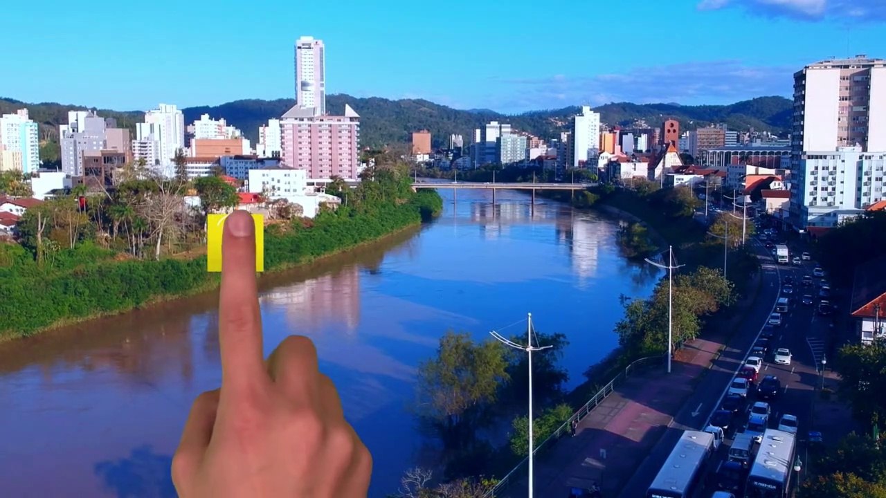 Vídeo mostra a presença de Pumas em duas regiões de Santa Catarina