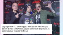 Mark Hoppus (Blink-182) atteint d'un cancer : 