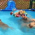 Funniest & Cutest Golden Retriever Puppies #32 - Funny Puppy Videos 2020