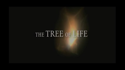 THE TREE OF LIFE |2011| VOSTFR ~ WebRip