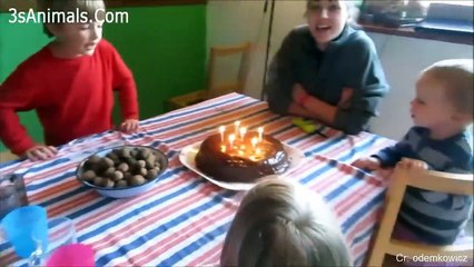 Babies And Kids Blowing Candles Fail  Funny Fails Baby Video