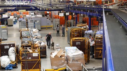 Sempre più cocaina in Europa, l'allarme dell'Onu