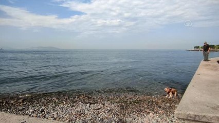 Müsilaj temizleme çalışmaları devam ediyor