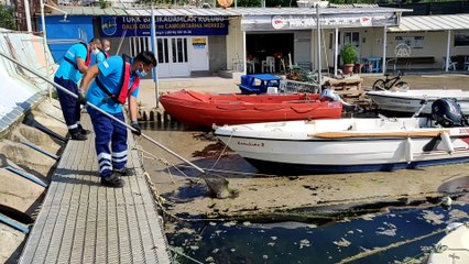 İSTANBUL - Müsilaj temizleme çalışmaları devam ediyor