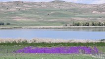 Sivas'ın gölleri normalleşme döneminde doğa tutkunlarını ağırlıyor