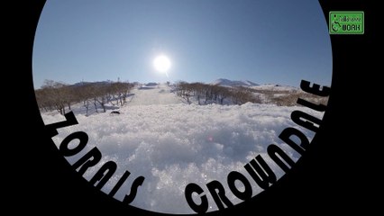2020 ZORAIS CROWNDALE   TEASER