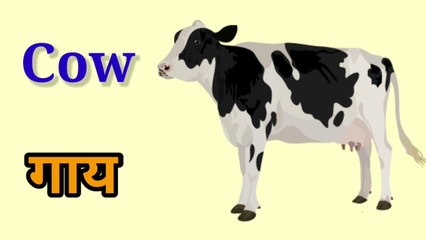 Domestic Animals Name For Kids In Hindi And English | पालतू जानवरों के नाम | #domesticanimals