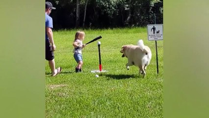 Short Funny Status | Funny Status | Comedy Video | Paad Marna Funny Video | Short Video | #Shorts