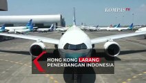 Hong Kong Larang Seluruh Penerbangan dari Indonesia