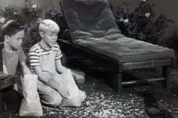 Dennis the Menace Season 2 Episode 28 Woodman, Spare that Tree