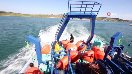 - 'Midye ve İstiridye Araştırma Tesisi' kuruldu