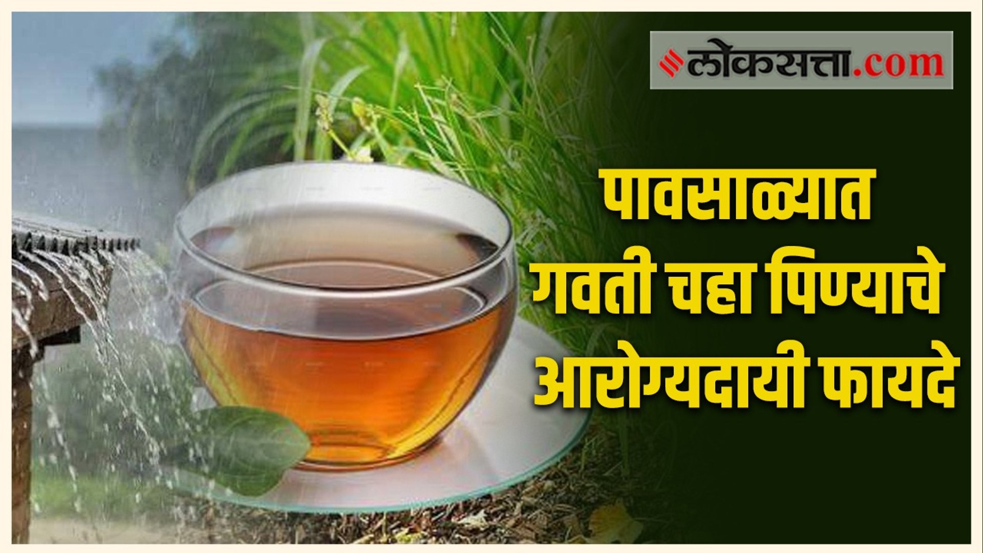 पावसाळ्यात गवती चहा पिण्याचे आरोग्यदायी फायदे