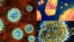 Coronavirus के क्यों बढ़ रहे हैं Variant ? |Delta Plus Variant | Gamma Variant | Boldsky