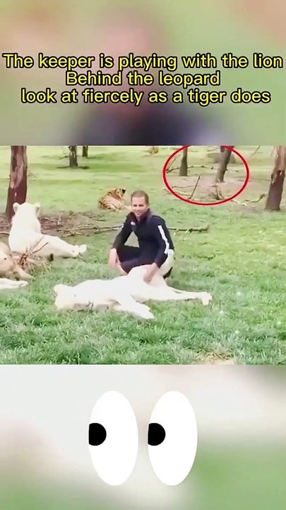Very Funny Video And Comedy VIdeo
