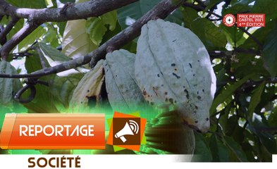 Prix Pierre castel SOLIBRA: soutenir les agripreneurs 3