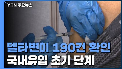 델타 변이, 국내 유입 초기 단계..."부스터샷 검토" / YTN