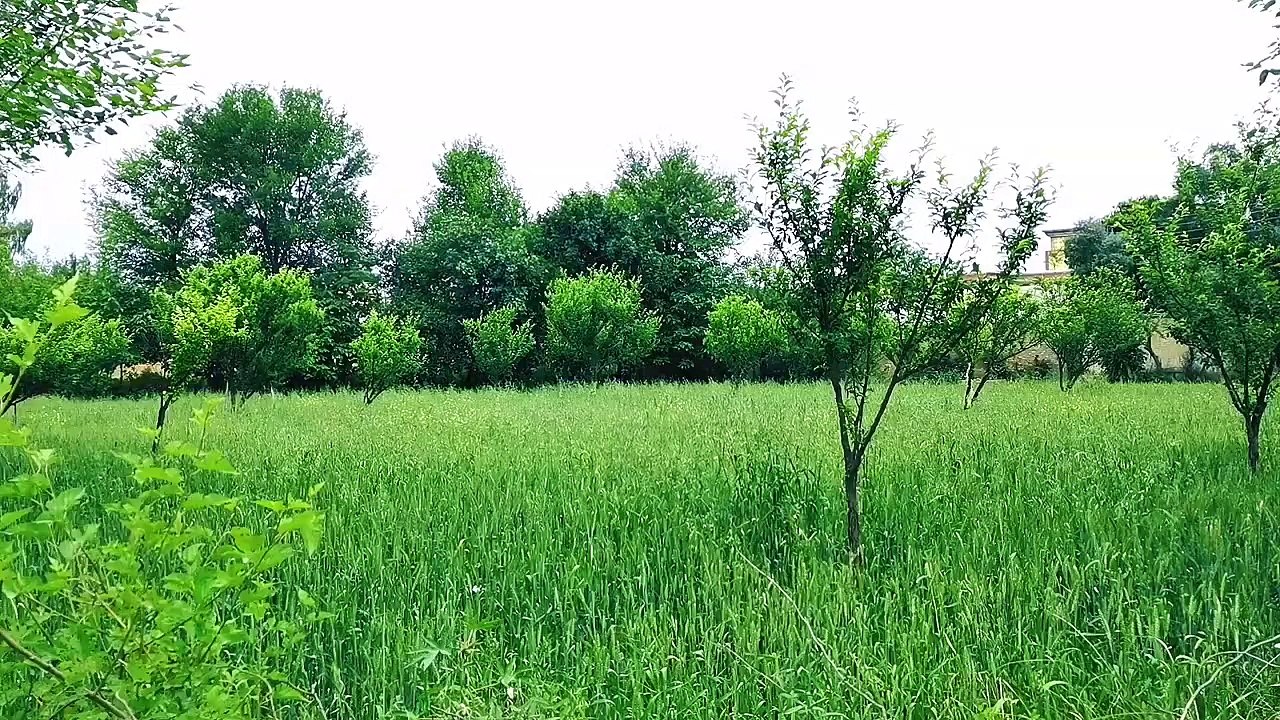 Beautiful nature