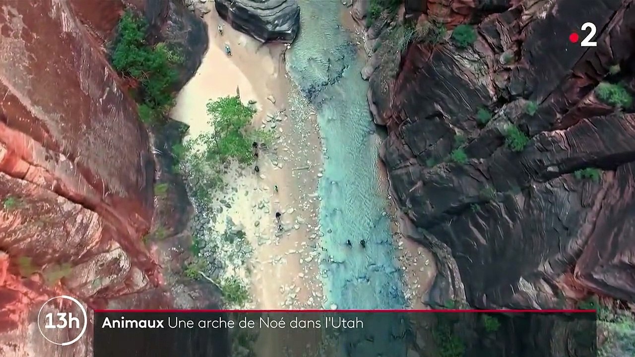 États-Unis : une arche de Noé en plein cœur de l'Utah