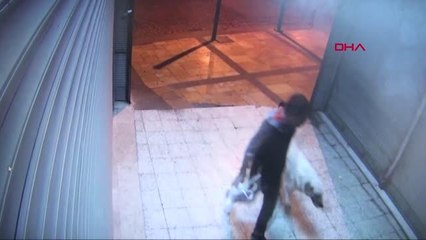 ÇOLAK'I YARALAYAN TETİKÇİ, SOKAK KÖPEĞİNİ ÖLDÜRÜP TECAVÜZ ETMİŞ