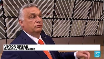 Hungary's Orban says law is about how kids get sexually educated