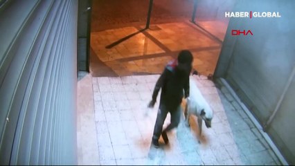 Yeni kocanın eski koca için tuttuğu tetikçi sapık çıktı! Sokak köpeğini öldürüp tecavüz etmiş